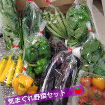 淡路島の訳有り玉ねぎと季節野菜のセット 果物や野菜などのお取り寄せ宅配食材通販産地直送アウル