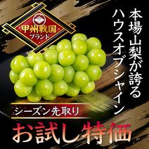 【2025年6月上旬予約シャインマスカット】本場山梨の旬を全国に先駆けて最高糖度でお届け！甲州戦国ブランド『ハウスオブシャイン』お試し特価キャンペーン約1キロ ハウスオブシャイン約1キロ 果物や野菜などのお取り寄せ宅配食材通販産地直送アウル
