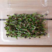 青森県産　ミズの実（ミズの子） 200g 果物や野菜などのお取り寄せ宅配食材通販産地直送アウル