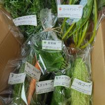 旬のお野菜セット（5～7品）クール便 旬のお野菜セット5~7品セット 果物や野菜などのお取り寄せ宅配食材通販産地直送アウル