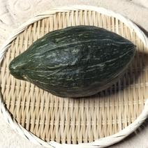 ロロンの冬野菜セット（4品目以上） 約1.5-3kg 果物や野菜などのお取り寄せ宅配食材通販産地直送アウル