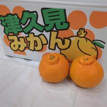 不知火・デコポンの産地直送食材一覧（通販・お取り寄せ）-産直アウル