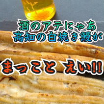 【訳あり】高知県産鰻小ぶり500ｇ以上　白焼き91～99ｇ×5匹有頭　蒲焼きのタレ5袋付　おまけ70～90ｇ1尾付き エコ包装 鰻の白焼き91～99ｇ×5匹有頭　蒲焼きのタレ5袋付　おまけ70～90ｇ1尾 果物や野菜などのお取り寄せ宅配食材通販産地直送アウル