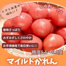 トマトの産地直送食材一覧（通販・お取り寄せ）-産直アウル