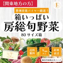 【関東へ配送の方】80サイズ箱いっぱい房総旬野菜詰め合わせ（80サイズ箱） 80サイズ箱いっぱい 果物や野菜などのお取り寄せ宅配食材通販産地直送アウル