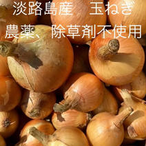 農薬・除草剤不使用！淡路島産 玉ねぎ 農薬不使用 10kg 10kg 果物や野菜などのお取り寄せ宅配食材通販産地直送アウル