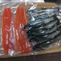 お刺身サーモン 2枚と 塩焼き用ニジマス10尾の詰め合わせ サーモンフィレ2枚約500gとニジマス10尾1kg前後 果物や野菜などのお取り寄せ宅配食材通販産地直送アウル