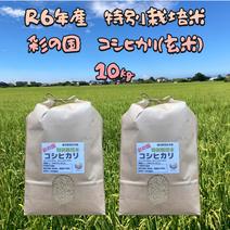 R6年産　特別栽培米　彩の国　コシヒカリ（玄米）　5㎏×2袋 10㎏ 果物や野菜などのお取り寄せ宅配食材通販産地直送アウル