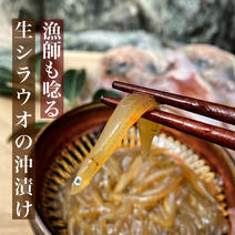 人気NO1★生シラウオの沖漬け(20P) 生白魚の沖漬け20P(約2kg) 果物や野菜などのお取り寄せ宅配食材通販産地直送アウル