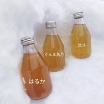 無添加りんごジュース　北斗、ぐんま名月、はるか 180mlサイズ6本入り×4 24本 果物や野菜などのお取り寄せ宅配食材通販産地直送アウル