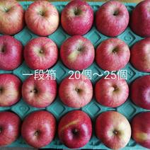 手のひらサイズの小玉、サンふじ　家庭用4キロ　20個～25個 4キロ　20個～25個 果物や野菜などのお取り寄せ宅配食材通販産地直送アウル