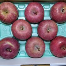 ふじりんご8玉 約2kg 果物や野菜などのお取り寄せ宅配食材通販産地直送アウル