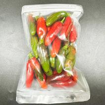 注文受け収穫する！超新鮮青唐辛子10キロ 注文受け収穫する！超新鮮、激辛青唐辛子10キロです。