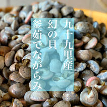 【受賞感謝価格】新物幻の貝！九十九里名産 釜茹でながらみ３P(約３KG) ながらみ３P(約３KG) 果物や野菜などのお取り寄せ宅配食材通販産地直送アウル