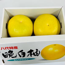 熊本県産 晩白柚 ばんぺいゆ 優品 2玉 (約3kg～約4㎏)【002】フルーツ 贈り物 お歳暮 ギフト 熊本県 特産 蜜柑  高級 熊本 柑橘類 柑橘 2玉　箱込み　約3キロから4キロ 果物や野菜などのお取り寄せ宅配食材通販産地直送アウル