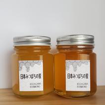 2024年産1年蜜[巣箱5.9]日本みつばちの蜜300g(150g×2本)　和歌山古座川産　天然　ミツバチ　はちみつ  蜂蜜　 産地直送　※ラッピングなし 300g(150g×2) 果物や野菜などのお取り寄せ宅配食材通販産地直送アウル