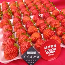 朝採れ当日発送！35玉4パック！夏秋いちご　青森県産　すずあかね　苺　夏いちご 35玉4パック 果物や野菜などのお取り寄せ宅配食材通販産地直送アウル
