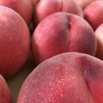 桃「玉うさぎ」　家庭用5kg 5kg 果物や野菜などのお取り寄せ宅配食材通販産地直送アウル