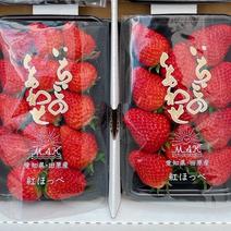 紅ほっぺの産地直送商品一覧（通販・お取り寄せ）-産直アウル