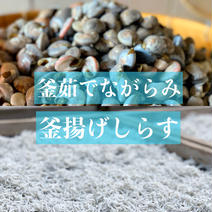 看板商品セット★釜揚げしらすと釜茹でながらみ★☆★ながらみ１KG.釜揚げしらす500g(2P) ながらみ１KG.釜揚げしらす500g(2P) 果物や野菜などのお取り寄せ宅配食材通販産地直送アウル