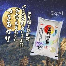 令和6年産　美野里舞（つきあかり）5kg ５kg 果物や野菜などのお取り寄せ宅配食材通販産地直送アウル