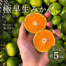 訳あり食材・商品 ｜ 【産直アウル】生産者の応援にも繋がる新鮮食材の