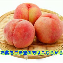 福島県産もも『あかつき又はまどか』クール便発送希望の方はコチラから もも 果物や野菜などのお取り寄せ宅配食材通販産地直送アウル