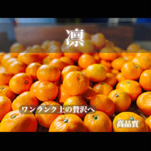 5周年限定　凛　小玉みかん4.5キロ　有田みかん　和歌山県　産地直送 4.5kg 果物や野菜などのお取り寄せ宅配食材通販産地直送アウル