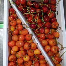 紅秀峰訳あり 750g 果物や野菜などのお取り寄せ宅配食材通販産地直送アウル