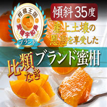 🍊冬ギフト🍊【日テレDayDay話題沸騰】果汁溢れる濃厚ジューシーみかん🍊傾斜35度の崖上で収穫される希少な宇和島ブランドみかん2024年12月中旬発送【お試しキャンペーン約1kg】【アウルの日】 ブランドみかんお試し約1kg 果物や野菜などのお取り寄せ宅配食材通販産地直送アウル