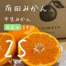 【完熟中生みかん】有田みかん★家庭用★ 3キロ2Sサイズ 果物や野菜などのお取り寄せ宅配食材通販産地直送アウル