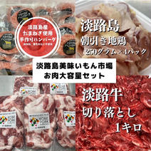 島のめぐみマルシェがお届けする！お肉大容量セット 約4.2キロ 果物や野菜などのお取り寄せ宅配食材通販産地直送アウル