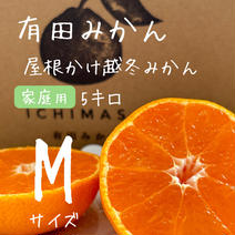 【超完熟宮川早生】屋根かけ越冬みかん　5キロMサイズ家庭用　有田みかん　早生みかん 5キロMサイズ 果物や野菜などのお取り寄せ宅配食材通販産地直送アウル