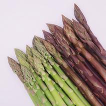 アスパラガス食べくらべの産地直送食材一覧（通販・お取り寄せ）-産直