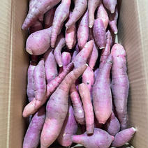 紅はるか　4.5kg (訳あり) 紅はるか（訳あり）4.5kg 果物や野菜などのお取り寄せ宅配食材通販産地直送アウル