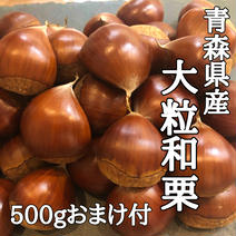 【数量限定】北国青森の大粒和栗500g➕おまけ多め 500g➕おまけ増量 果物や野菜などのお取り寄せ宅配食材通販産地直送アウル