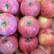 【訳あり🍎】減農薬栽培サンふじ 約5Kg 果物や野菜などのお取り寄せ宅配食材通販産地直送アウル