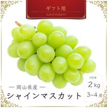 シャインマスカットの産地直送食材一覧（通販・お取り寄せ）-産直アウル