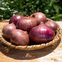 無農薬・無化学肥料で育てた赤たまねぎ（3㎏） 3kg 果物や野菜などのお取り寄せ宅配食材通販産地直送アウル