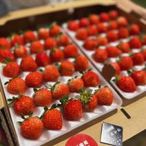 これからが旬！30玉2パック！夏秋いちご　青森県産　すずあかね　苺　夏いちご 30玉2パック 果物や野菜などのお取り寄せ宅配食材通販産地直送アウル