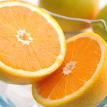 農家直送❗️ 国産 バレンシャオレンジ 🍊※北海道沖縄は別途送料いります🫡　和歌山県　有田産　(有田みかん)バレンシアオレンジ 5kg 果物や野菜などのお取り寄せ宅配食材通販産地直送アウル