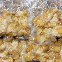 下処理不要【殻や唾液腺除去済み】タコツブ剥き身2キロ(500ｇ×4袋) 2キロ 果物や野菜などのお取り寄せ宅配食材通販産地直送アウル