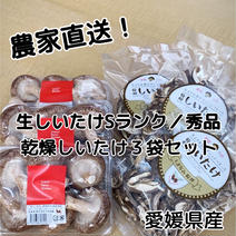 絶品！愛媛県産生しいたけと乾燥しいたけのお得なセット 生しいたけ６個入り×３パック　乾燥しいたけ30ｇ×3袋 果物や野菜などのお取り寄せ宅配食材通販産地直送アウル