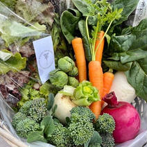 採れたて直送！旬の6品お野菜詰め合わせ 2 果物や野菜などのお取り寄せ宅配食材通販産地直送アウル