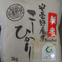 令和5年産安曇野産こしひかり 特別栽培米 白米 2㎏ 2㎏ 果物や野菜などのお取り寄せ宅配食材通販産地直送アウル