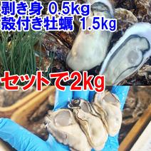 30％OFF販売中【生食用剥き身500ｇ】と【殻付き牡蠣1.5ｋｇ（約16個）】のセット品 牡蛎 松島牡蠣屋 牡蠣 殻付き 生食 kaki かき 宮城県産 剥き身500ｇと殻付き1.5kg 果物や野菜などのお取り寄せ宅配食材通販産地直送アウル