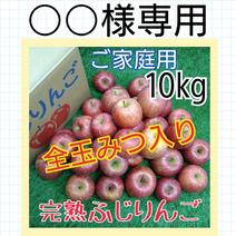 ご家庭用◆完熟みつ入りふじりんご10kg 約10kg 果物や野菜などのお取り寄せ宅配食材通販産地直送アウル