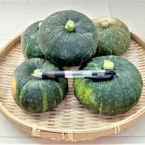 坊ちゃん南瓜　栽培期間中農薬不使用 坊ちゃん南瓜　約1.5㎏ 果物や野菜などのお取り寄せ宅配食材通販産地直送アウル