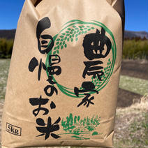 無農薬で育てた清流米　ヒノヒカリ　玄米です20kg(5kg×4個) 20kg(5kg×4個) 果物や野菜などのお取り寄せ宅配食材通販産地直送アウル