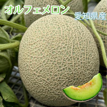 オルフェメロン4L2玉 4L2玉3.2〜3.78kg 果物や野菜などのお取り寄せ宅配食材通販産地直送アウル
